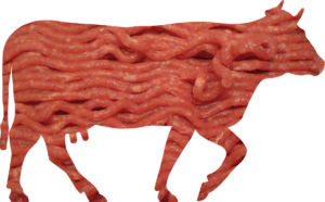 ground beef in outline of cow shape