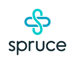 Logo of two-tone blue forms creating a cross and the letters 'spruce'