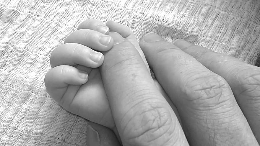 adult hand in baby's hand