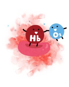 hemoglobin on red blood cell, holding hands with oxygen
